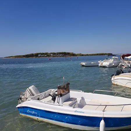 Domus Mare *