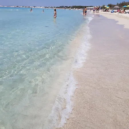 Domus Mare *